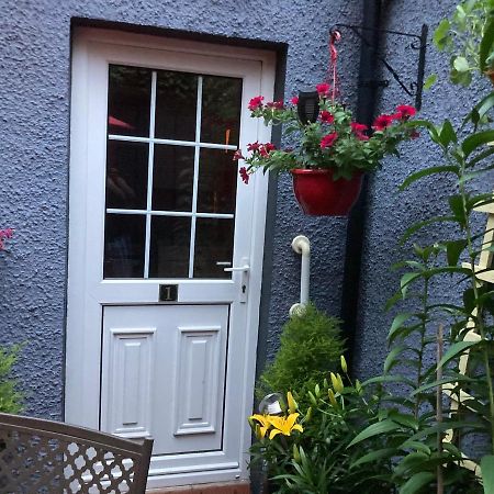 Mountroyal Victorian Studio Self Catering Apartment 3 Belfast Extérieur photo