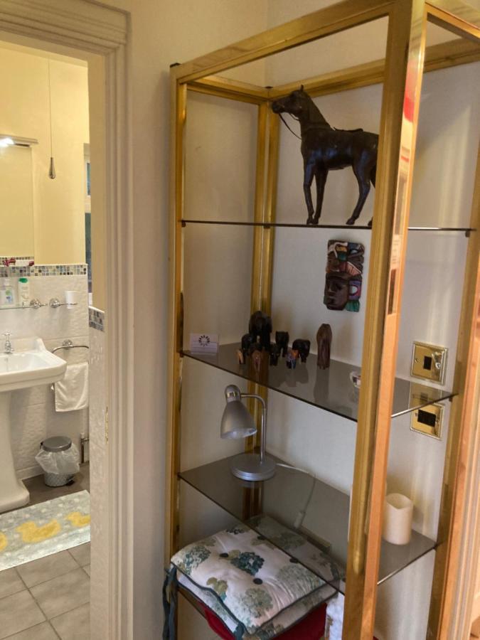 Mountroyal Victorian Studio Self Catering Apartment 3 Belfast Extérieur photo