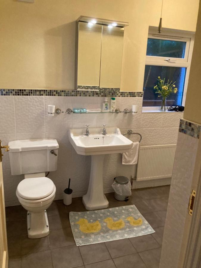 Mountroyal Victorian Studio Self Catering Apartment 3 Belfast Extérieur photo