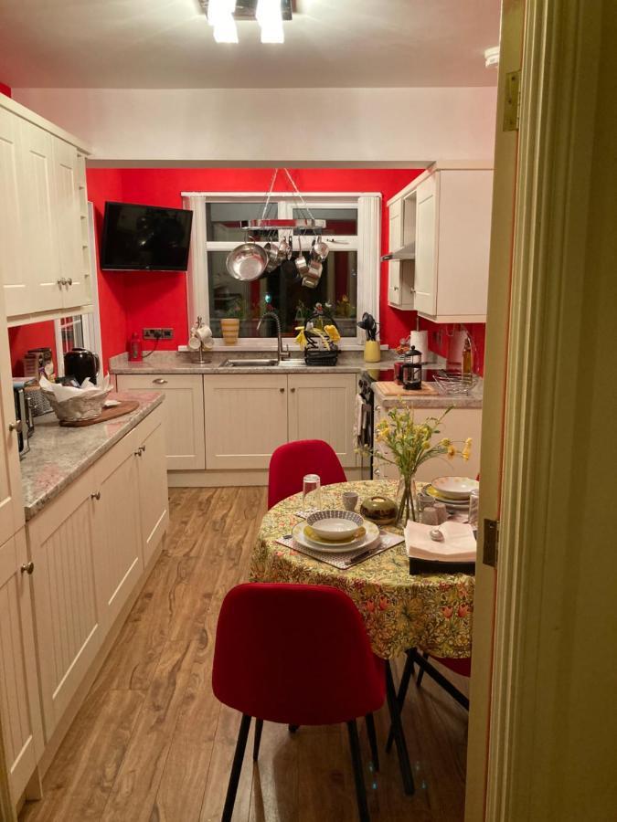 Mountroyal Victorian Studio Self Catering Apartment 3 Belfast Extérieur photo