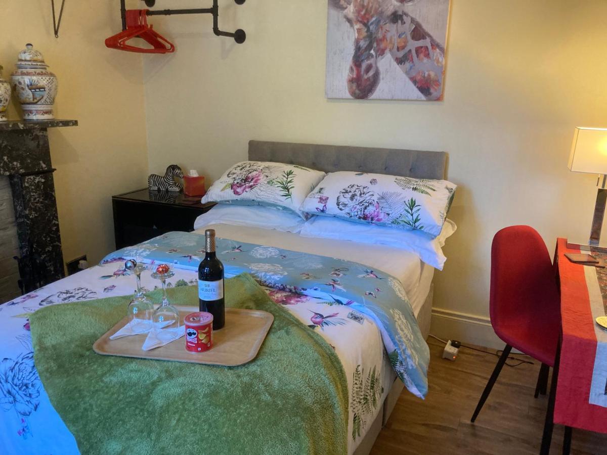 Mountroyal Victorian Studio Self Catering Apartment 3 Belfast Extérieur photo