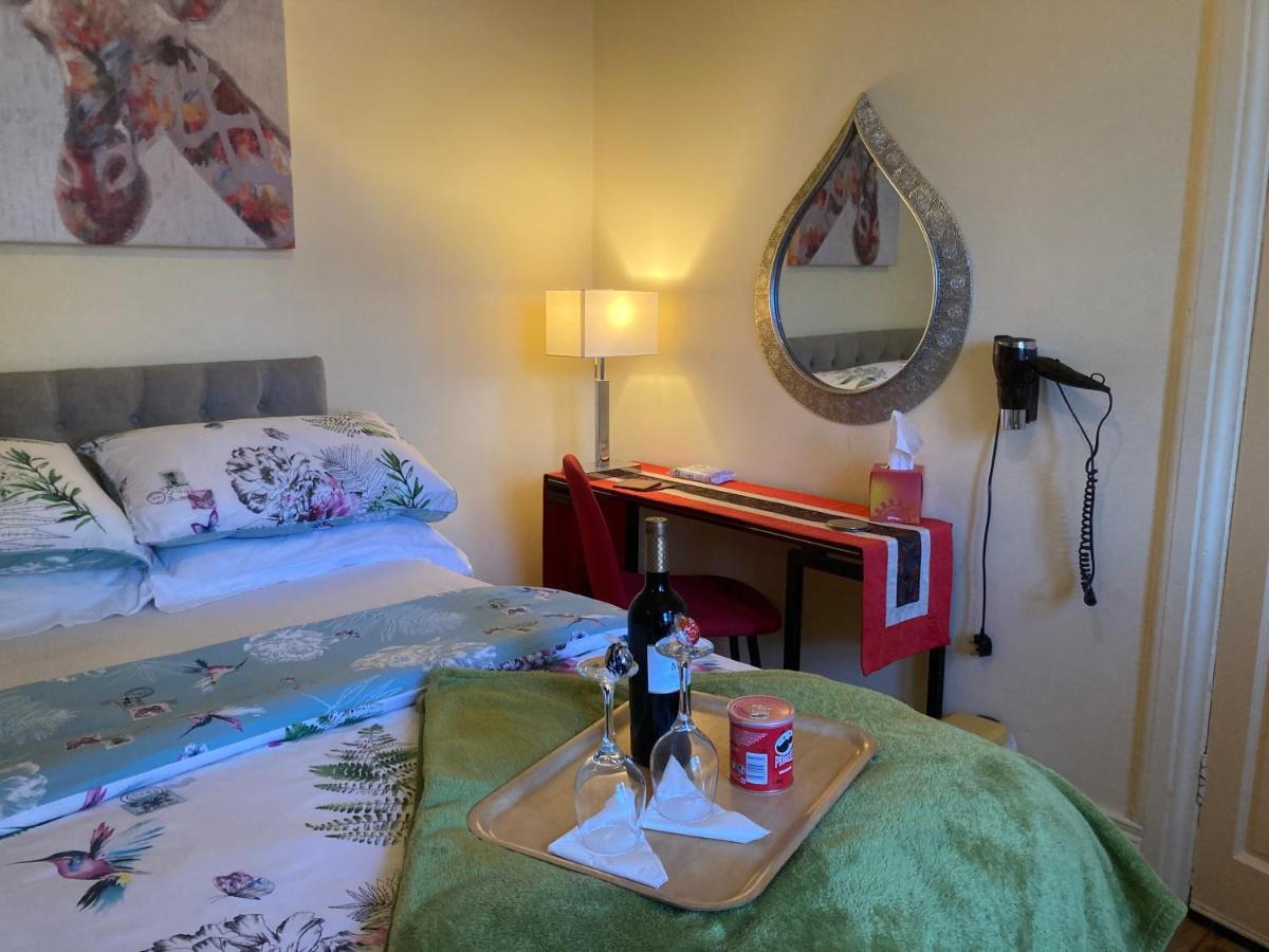 Mountroyal Victorian Studio Self Catering Apartment 3 Belfast Extérieur photo