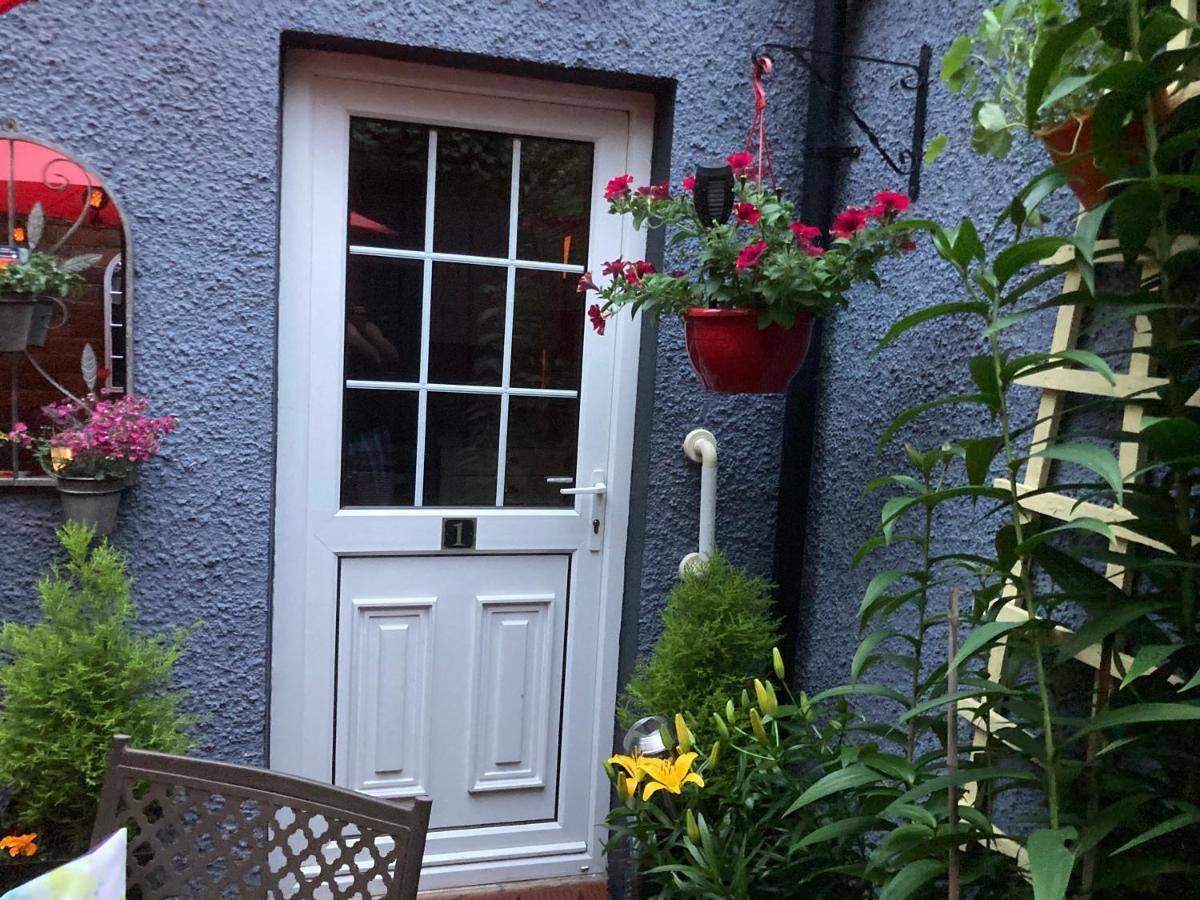 Mountroyal Victorian Studio Self Catering Apartment 3 Belfast Extérieur photo