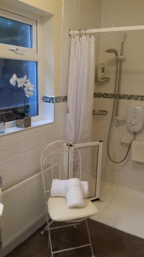Mountroyal Victorian Studio Self Catering Apartment 3 Belfast Extérieur photo